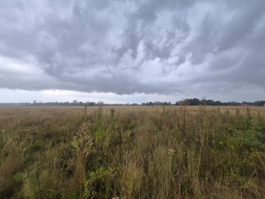 0 Bedroom Property for Sale in Vaalpark Free State